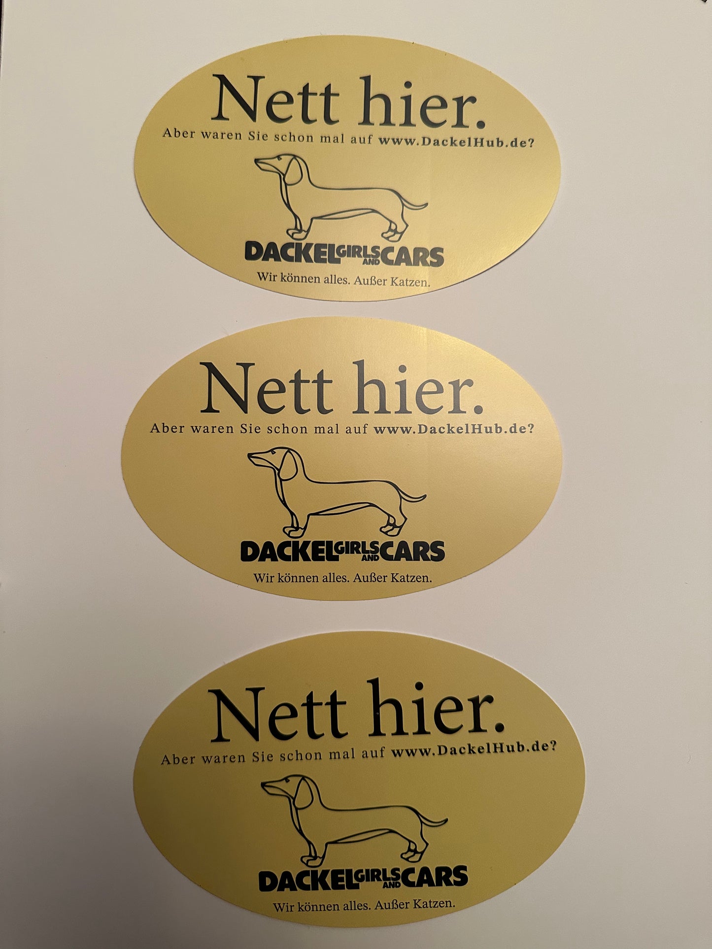 Sicker Set 10er Bogen, 3x Nett hier, 3x GREAT AGAIN