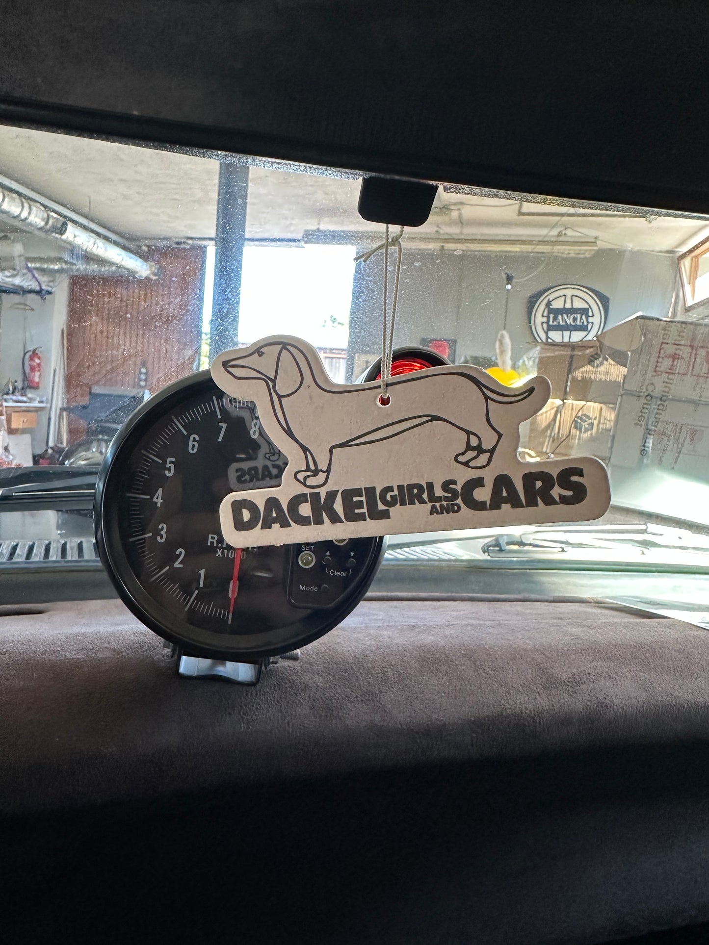 Dackel Duftbaum (riecht nicht nach Dackel)