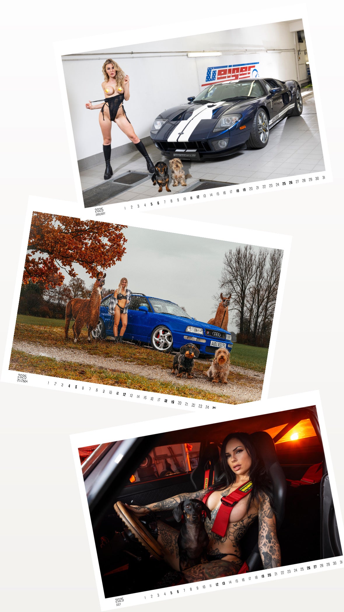 Dackel Girls and Cars Kalender 2025 + Sticker