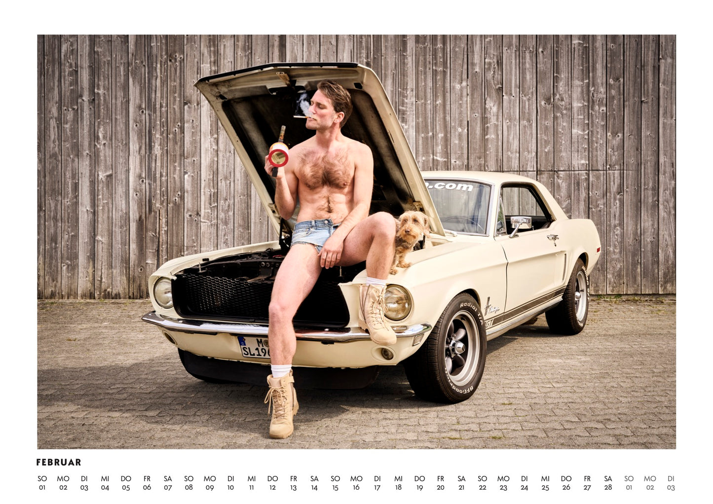 Dackel Boys and Cars Kalender 2026
