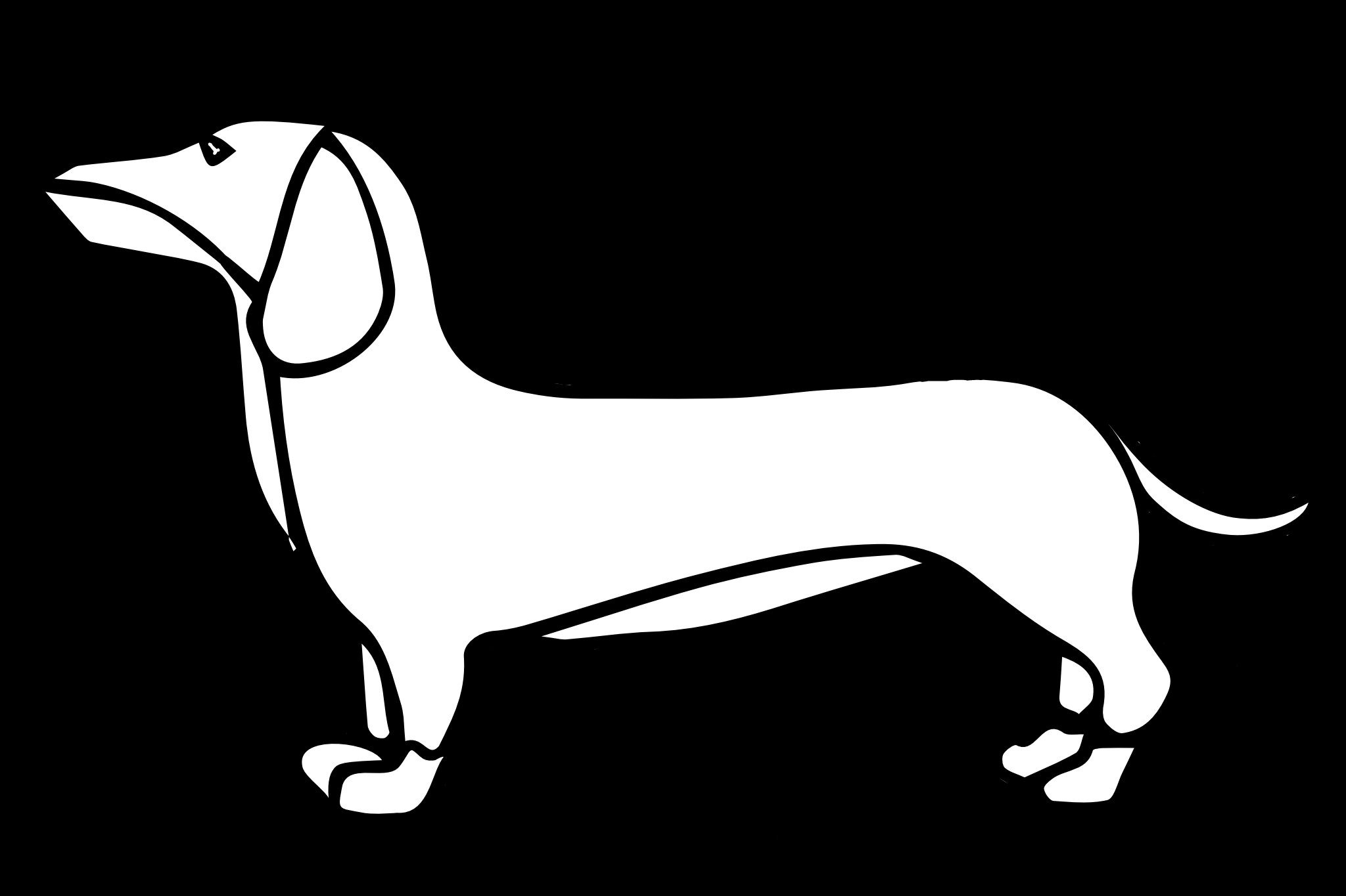 dackelgirlsandcars logo