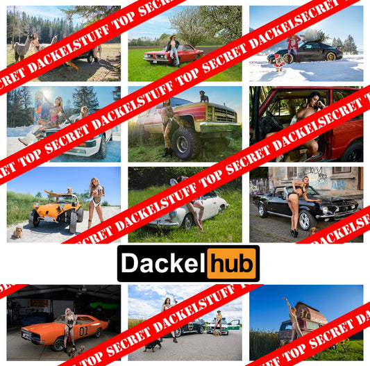 Dackel Girls and Cars Kalender 2023 in A4